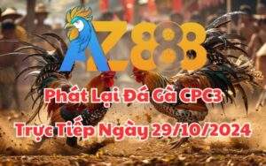 Phát Lại Đá Gà CPC3 Trực Tiếp Ngày 29/10/2024