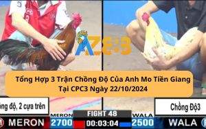Tổng Hợp 3 Trận Chồng Độ Của Anh Mo Tiền Giang Tại CPC3 22/10/2024