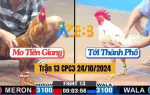 Trận 13 CPC3 Ngày 24/10/2024 - Gà Bướm Anh Tới Đá 1 Cước Lụm Lúa