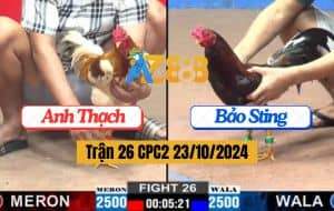 Trận 26 CPC2 Ngày 23/10/2024 Gà Anh Thạch Hạ Gà Idol Bằng Chân Xạo Lờ