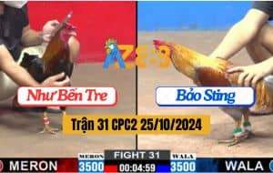 Trận 31 CPC2 Ngày 25/10/2024 - Anh Như Bến Tre Và Anh bảo Sting