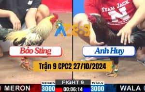 Trận 9 CPC2 Ngày 27/10/2024 Idol Xách Đuôi Gà Chuối Ra Ngoài Nhanh Lẹ