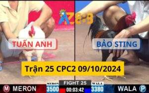 Trận 25 CPC2 09/10/2024 - Trận Đấu Giằng Co Giữa Bảo Sting Và Tuấn Anh