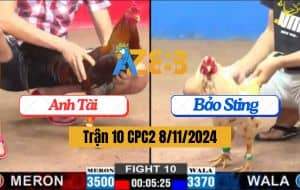 Trận 10 CPC2 Ngày 8/11/2024 - Bướm Hiệu IDOL Đá 1 Tay Nước Hạ Đối Thủ