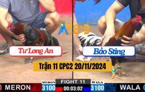 Trận 11 CPC2 20/11/2024 - Anh Bảo Sting Phục Thù Anh Tư Thành Công