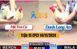 Trận 15 CPC1 Ngày 14/11/2024 Gà Anh Mít Trà Cú Bị Đối Thủ Đâm Bại Liệt