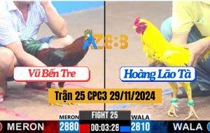 Trận 25 CPC3 29/11/2024 - Gà Điều Đá Gà Hoàng Kim Kê Ói Bỏ Chạy