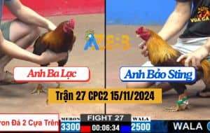 Trận 27 CPC2 Ngày 15/11/2024 - Bảo Sting Nhẹ Hơn 8 Chấm Vẫn Hạ Đối Thủ