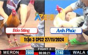 Trận 3 CPC2 27/11/2024 - Khét Gốc Viết Của Anh Bảo Sting Đá Bao Đâm