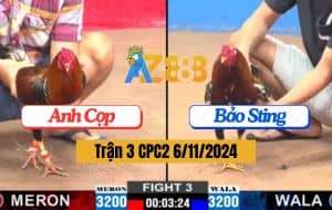 Trận 3 CPC2 Ngày 6/11/2024 Bông Hiệu Của Anh Bảo Sting Bị Anh Cọp Hạ