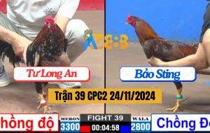 Trận 39 CPC2 24/11/2024 Đẳng Cấp Bảo Sting Chấp 5 Chấm Đá Đối Thủ Chạy