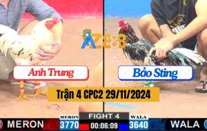 Trận 4 CPC2 29/11/2024 - Mẻ Bông Của Anh Bảo Sting Đâm Cựa Quá Tịch