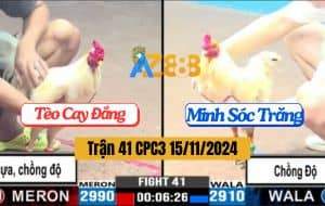 Trận 41 CPC3 15/11/2024 - Gà Anh Tèo Cay Đắng Chồng Độ Đá 1 Cựa