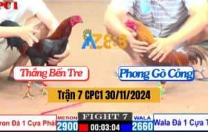 Trận 7 CPC1 30/11/2024 - Cựa Trái Vô Trong Đâm Cựa Nghiệt Lấy Lúa