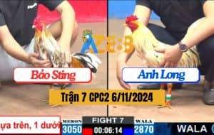 Trận 7 CPC2 Ngày 6/11/2024 Gà IDOL Có Chân Xạo Lờ Hạ Gà Anh Long
