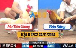 Trận 8 CPC2 24/11/2024 - Anh Mo Và Anh Bảo Sting Không Phân Thắng Bại