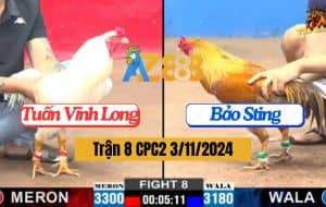 Trận 8 CPC2 Ngày 3/11/2024 - Idol Thắng Khó Khi Gặp Anh Tuấn Vĩnh Long