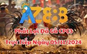 Phát Lại Đá Gà CPC3 Trực Tiếp Ngày 05/11/2024