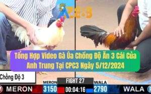 Tổng Hợp Video Gà Úa Chồng Độ Ăn 3 Cái Của Anh Trung Tại CPC3