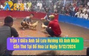 Trận 1 Giữa Anh Sở Lưu Hương Và Anh Nhân Cần Thơ Tại Bồ Hoa Lư