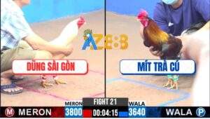 Trận 21 CPC3 8/12/2024 - Anh Dũng Sài Gòn Hạ Đẹp Anh Mít Trà Cú