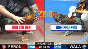 Trận 22 CPC2 15/12/2024 - Anh Tèo Đen Hạ Anh Phu Phu, Tỷ Số 2 - 1