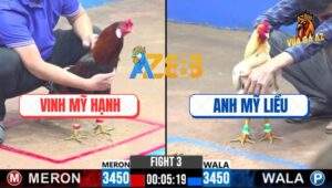 Trận 3 CPC3 13/12/2024 - Anh Mỹ Liều Tái Xuất Đụng Độ Anh Vinh Mỹ Hạnh