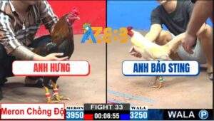 Trận 33 CPC2 15/12/2024 - Anh Bảo Sting Cắn Ớt - Cáp Kèo Ngông