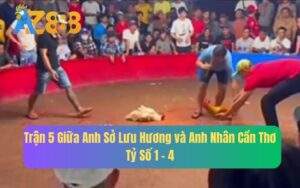 Trận 5 Giữa Anh Sở Lưu Hương Và Anh Nhân Cần Thơ, Tỷ Số 1 - 4