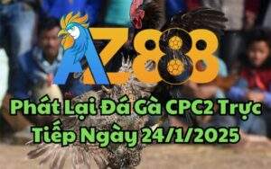 Phát Lại Đá Gà CPC2 Trực Tiếp Ngày 24/01/2025