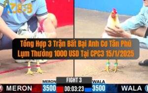 Tổng Hợp 3 Trận Bất Bại Anh Cơ Tân Phú Lụm Thưởng 1000 USD Tại CPC3