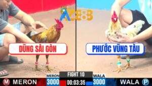 Trận 14 CPC3 21/1/2025 - Gà Que Gồng Cứu Thua Quá Đẳng Cấp