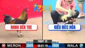 Trận 13 CPC3 23/1/2025 - Má Minh Đá Đòn Hồi Mã Thương Lật Kèo Quá Hay