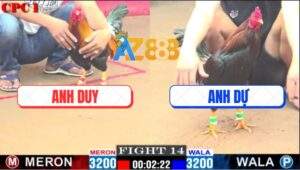 Trận 14 CPC1 9/1/2025 - Hai Gốc Bự Đụng Nhau Không Phân Thắng Bại