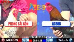 Trận 16 CPC1 16/1/2025 - Mẻ Điều Bổn Hiệu Của Xóm Gà AZ Đâm Bao Thấm