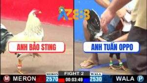 Trận 2 CPC2 22/1/2025 - Anh Bảo Sting Ra Quân Bị Đá Gãy Chân