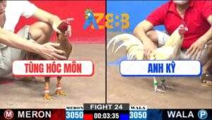 Trận 24 CPC2 22/1/2025 - Gà Khét Anh Tùng Chịu Đòn Phản Kèo Quá Hay