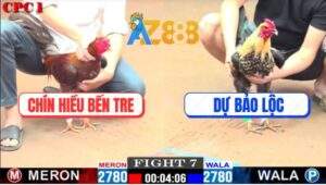 Trận 7 CPC1 16/1/2025 - Gốc Bự C1 Rớt Nài Trước Gốc Bự C2