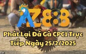 Phát Lại Đá Gà CPC1 Trực Tiếp Ngày 25/02/2025