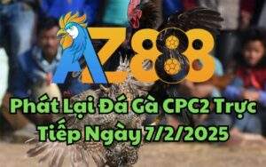 Phát Lại Đá Gà CPC2 Trực Tiếp Ngày 07/02/2025