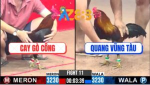 Trận 11 CPC3 28/2/2025 - Gà Anh Quang Có Chân Phản Phút 90, Biện Đi Xa