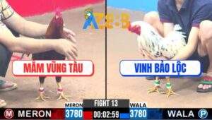 Trận 13 CPC3 26/2/2025 - Bổn Bướm Bảo Lộc Đâm Cây Nào Thấm Cây Đó