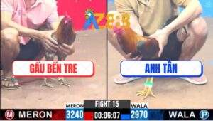 Trận 15 CPC3 26/2/2025 - Nhỏ Mà Máu Chiến Đá Bự Chạy Mất Dép