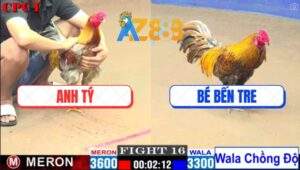 Trận 16 CPC1 25/2/2025 - Khét Chồng Độ Kém 3 Chấm 1 Đá Tiễn Đối Thủ