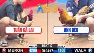 Trận 17 CPC3 28/2/2025 - Anh Tuấn Gà Lai Thắng 3 Trận, Bỏ Túi Gần Tỏi