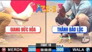 Trận 18 CPC3 15/2/2025 - Đám Bướm Đức Hào Đâm Cựa Như Phát Xít