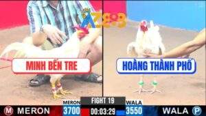 Trận 19 CPC3 23/2/2025 - Bướm Canh Chặn 1 Chân Úa Gãy Giò Nằm Đống