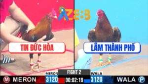 Trận 2 CPC3 24/2/2025 - Gà Vàng Có Chân Mai Độ Lật Kèo Phút Cuối