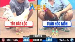 Trận 24 CPC3 21/2/2025 - Gà Bướm Anh Tèo Bi Đá Cóng Giò Chạy Trối Chết