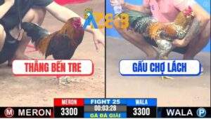 Trận 25 CPC3 26/2/2025 - Trận Gà Gây Tranh Cải Náo Loạn Tại C3